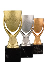 Cupe Sportive PE 20